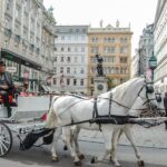 hofburg palace and sisi museum guided tour (1)